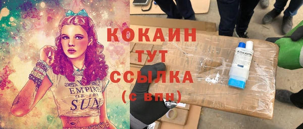 соль ск Богданович
