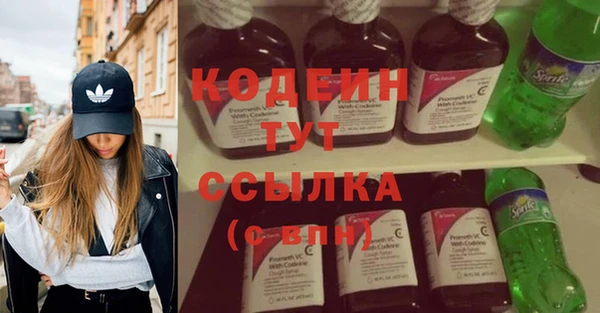 соль ск Богданович