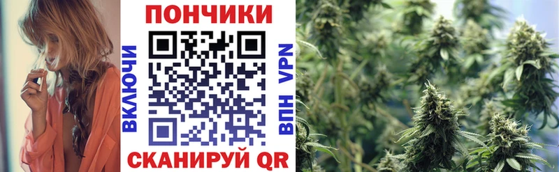 Купить где  Грязи  Конопля SATIVA & INDICA 